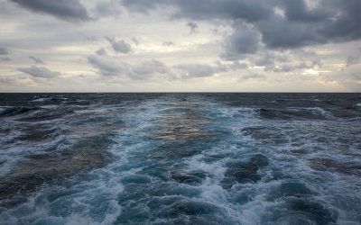 Seaspiracy – forvaltningen af havets ressourcer er et fælles ansvar
